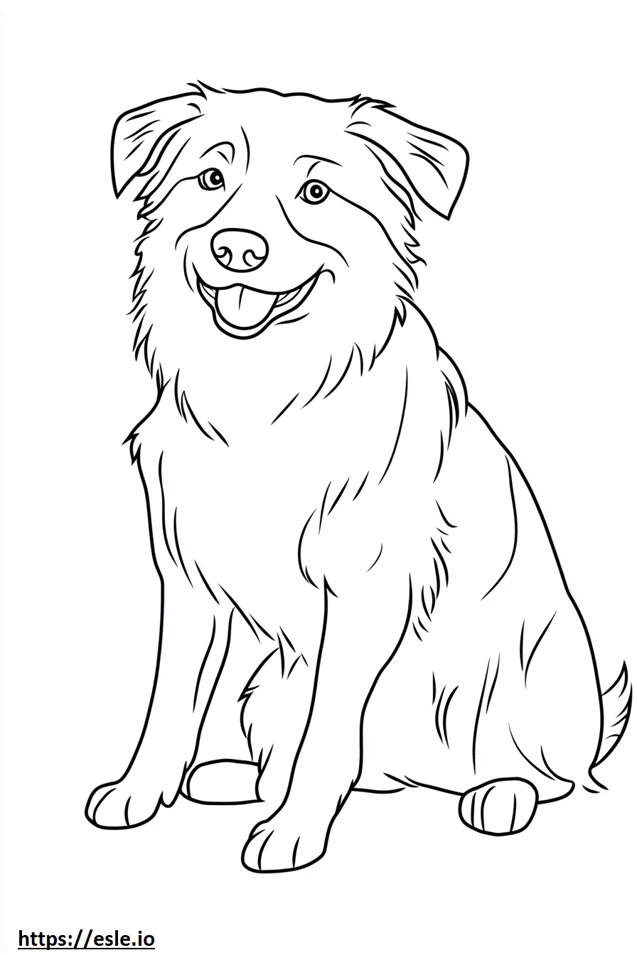 Border collie puppy free printable