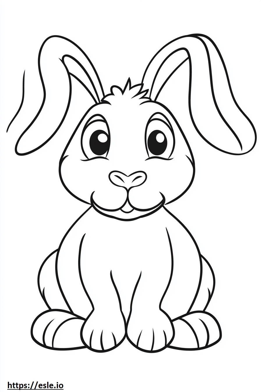 Animal anatomy for coloring