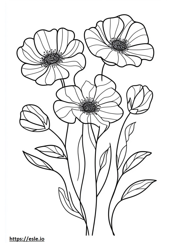 Bloemen kleurplaten