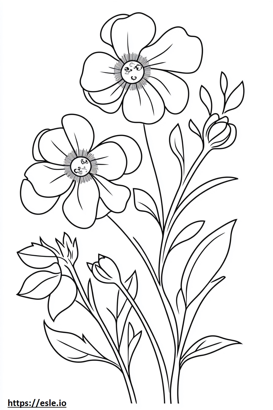 Floreale disegno da colorare