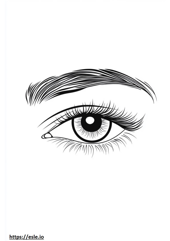 Realistic eye coloring sheet
