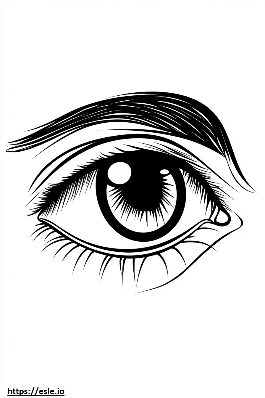 Realistic eye for coloring
