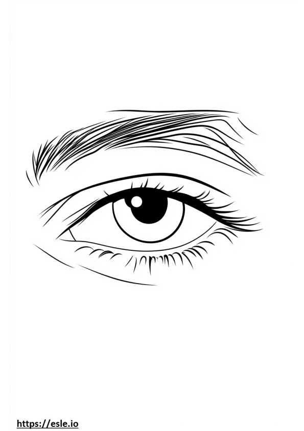 Realistic eye free printable