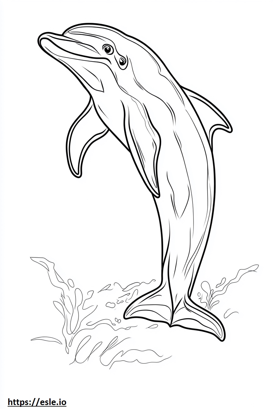 Hill dolphins drawing tyreek hill free printable