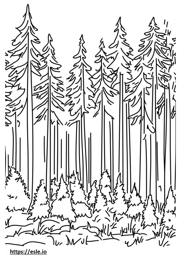 Taiga-bioom kleurplaten printen