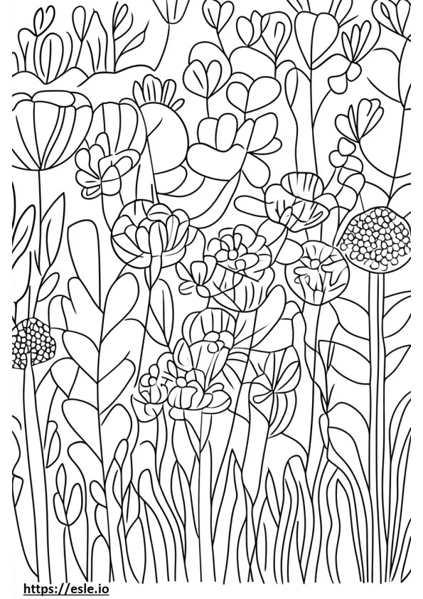 Repunzle dessin coloriage
