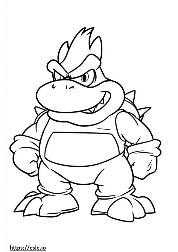 Morton koopa for coloring