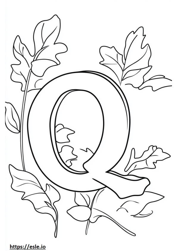 Q sta per un quarto da stampare