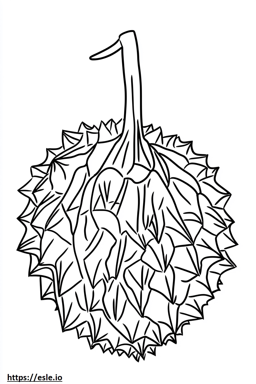 Durian de colorat