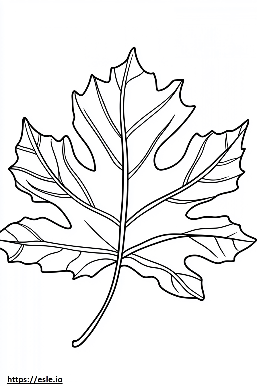 Autumn leaf coloring page
