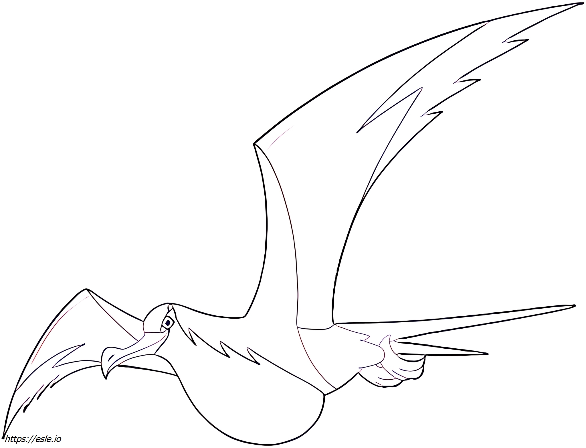 Kilowattrel Pokémon para colorear
