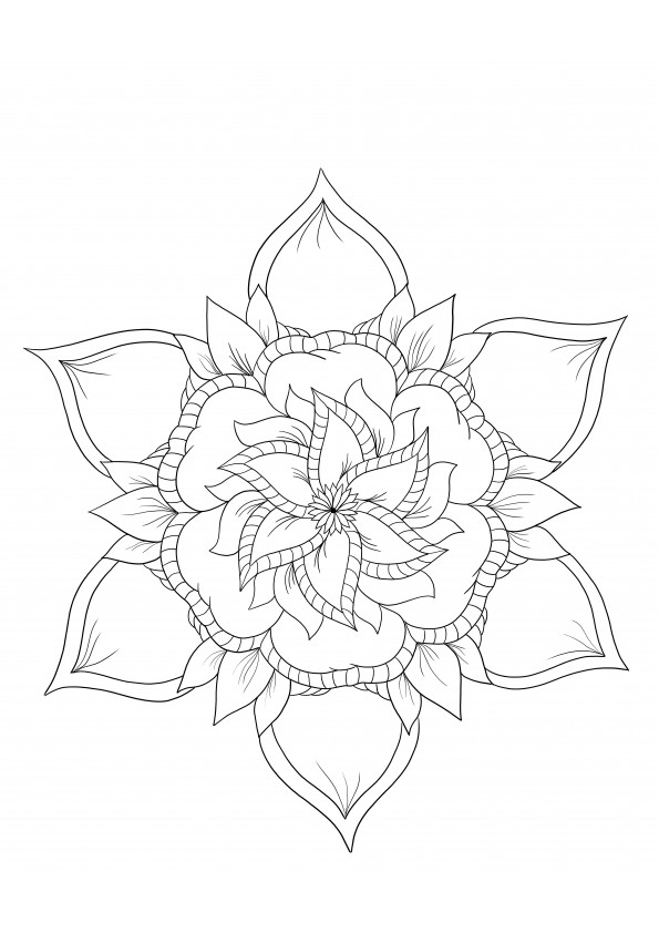 Exotic flowers for easy coloring and free printable