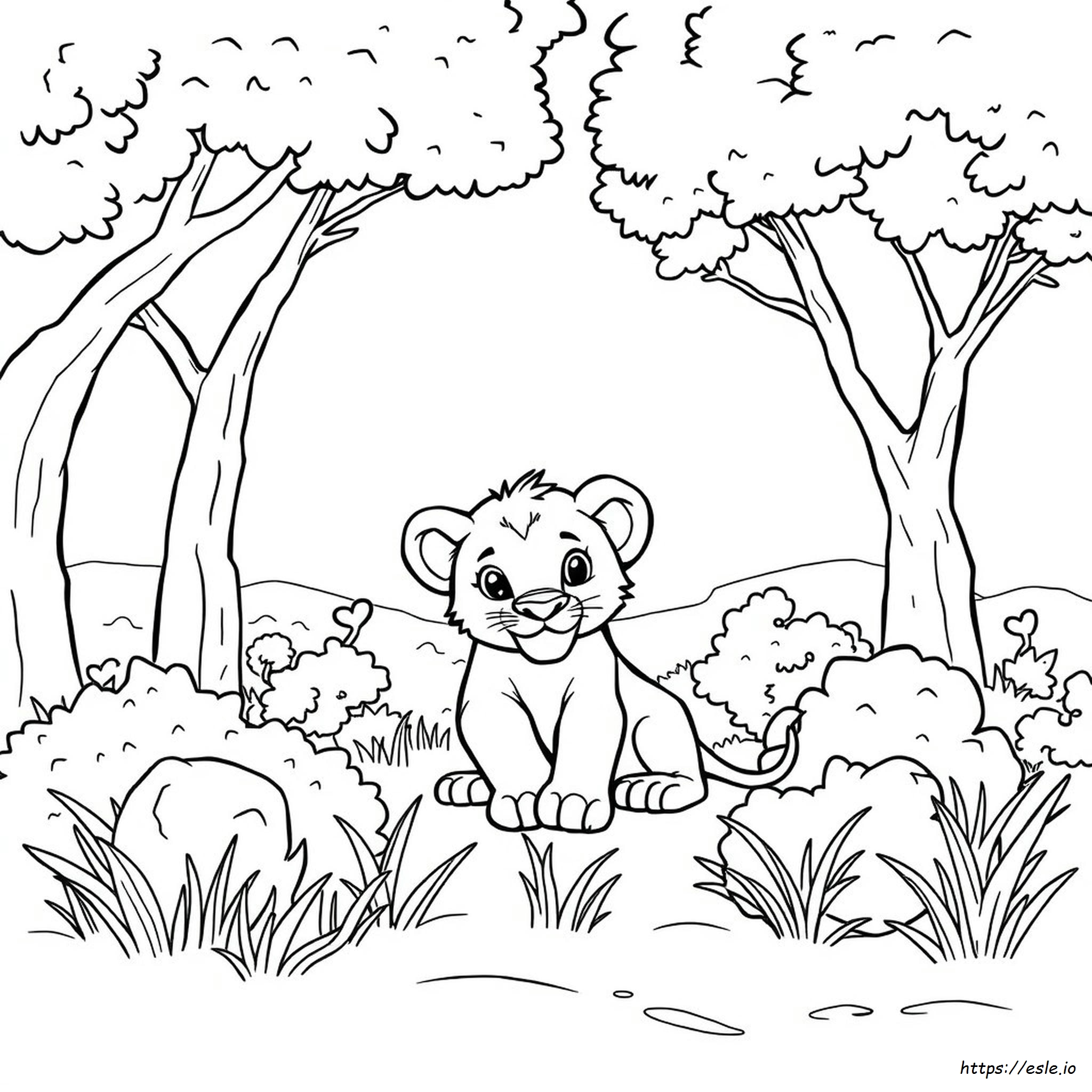 Lion Cub Colouring Pages
