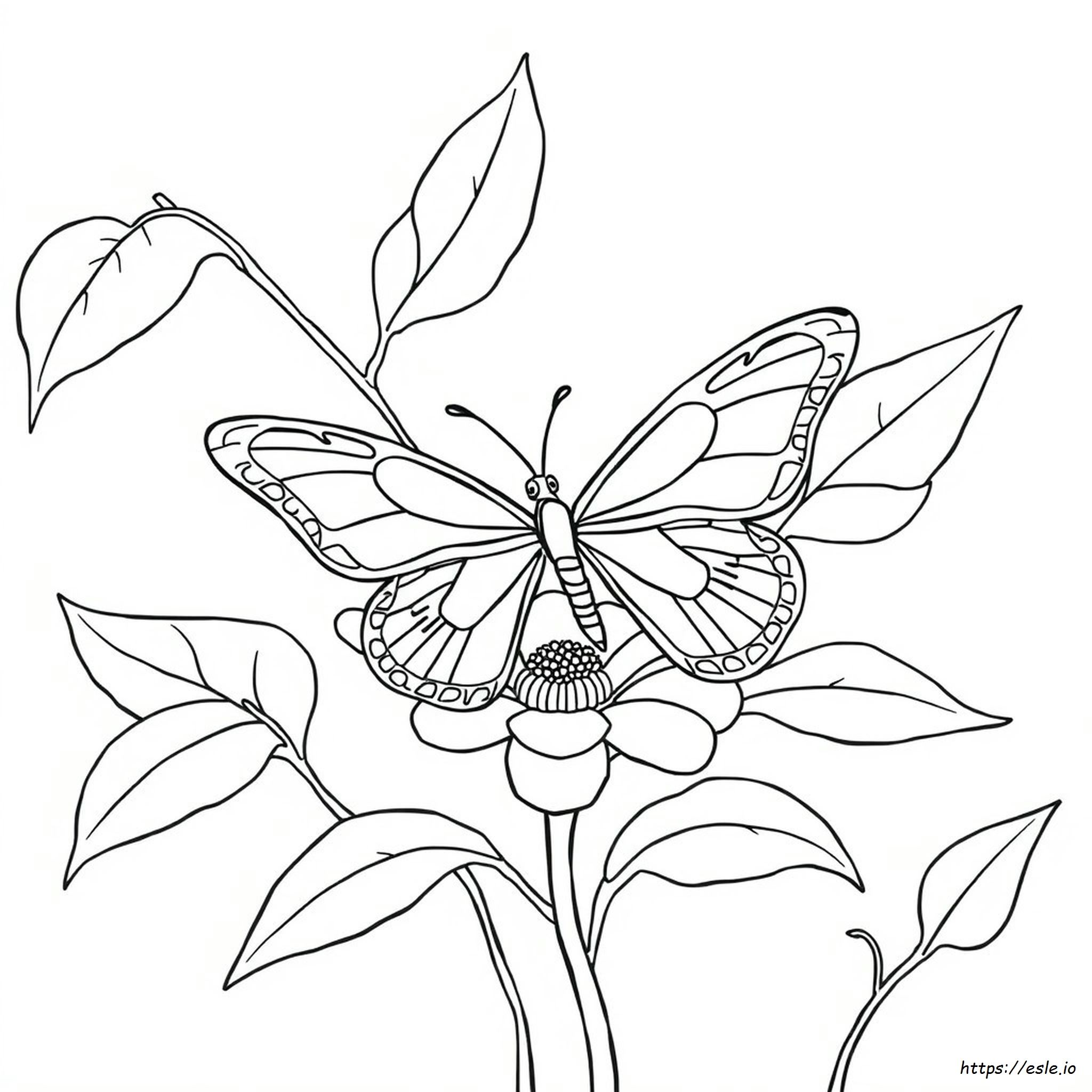 Butterfly Coloring Pages For Adults PDF