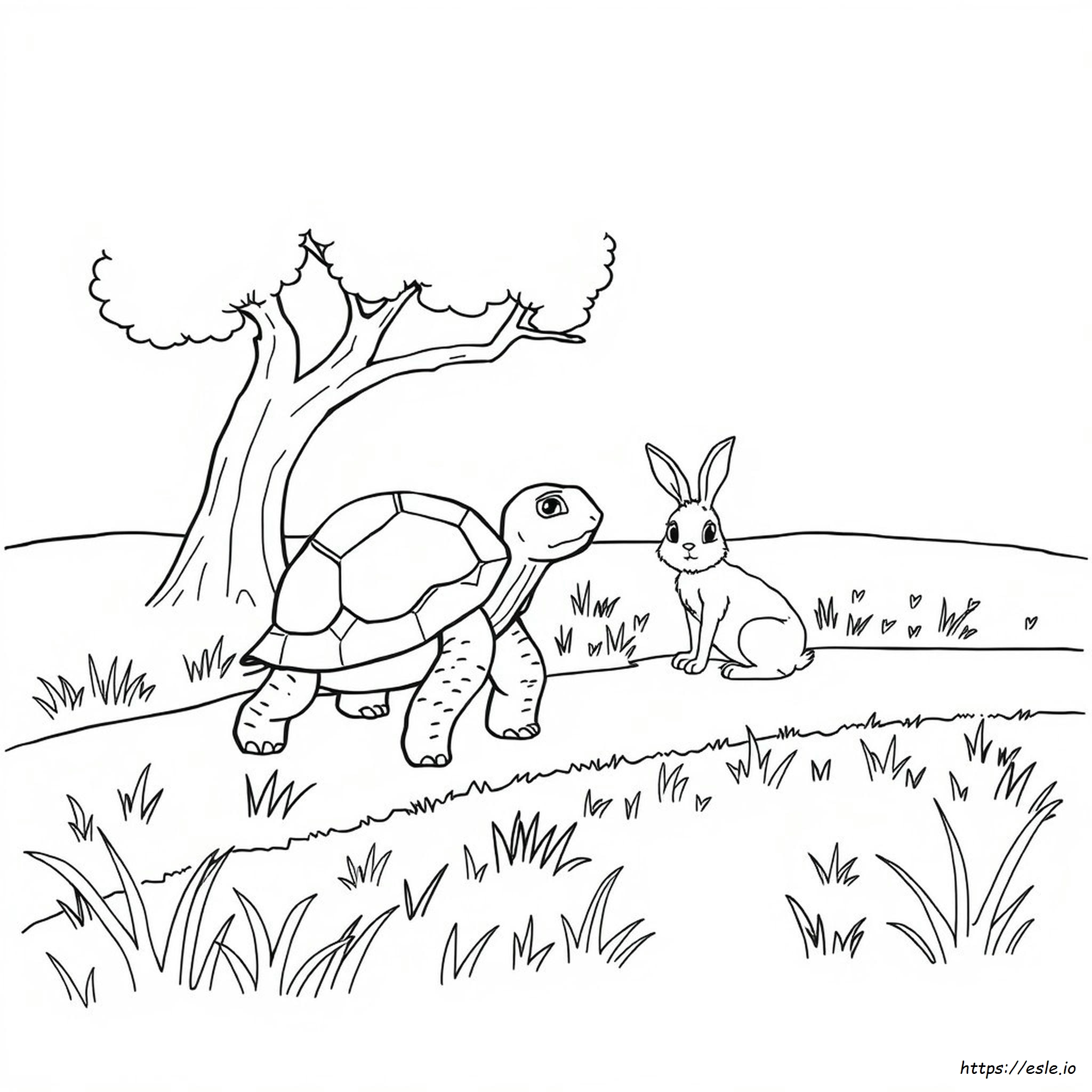 Tortoise And The Hare Coloring Page