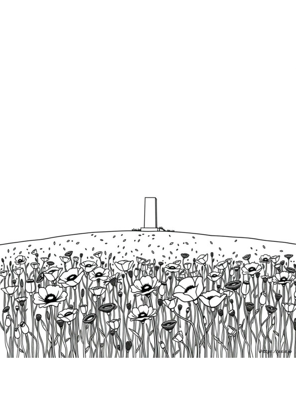 Free Colouring Pages Remembrance Day