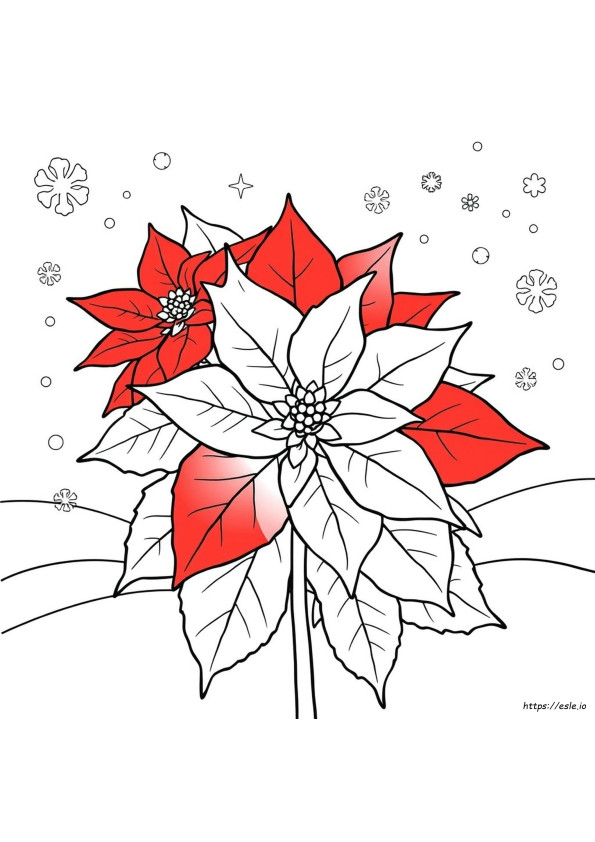 Foglio Da Colorare Con La Poinsettia