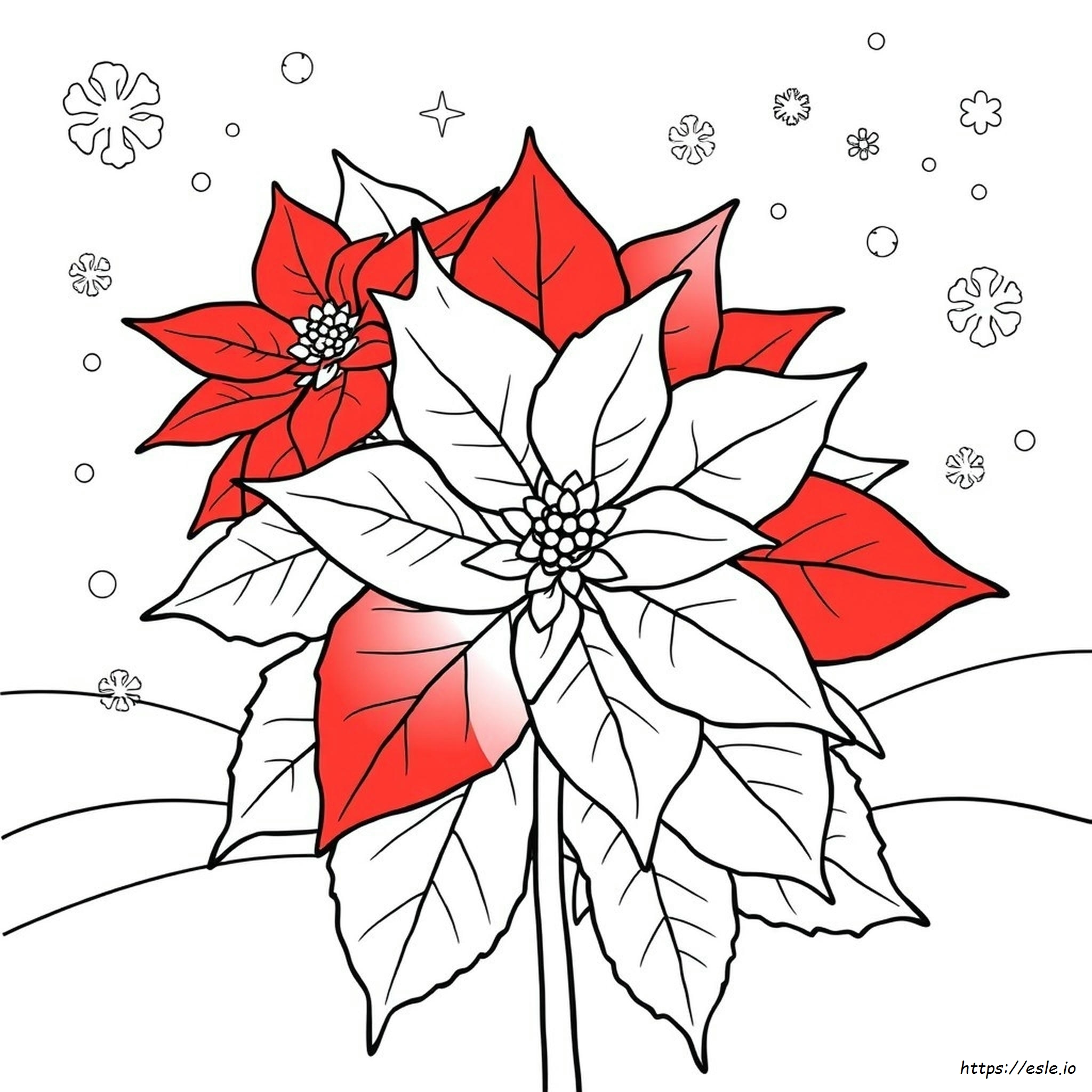 Gambar Mewarnai Poinsettia untuk Dicetak