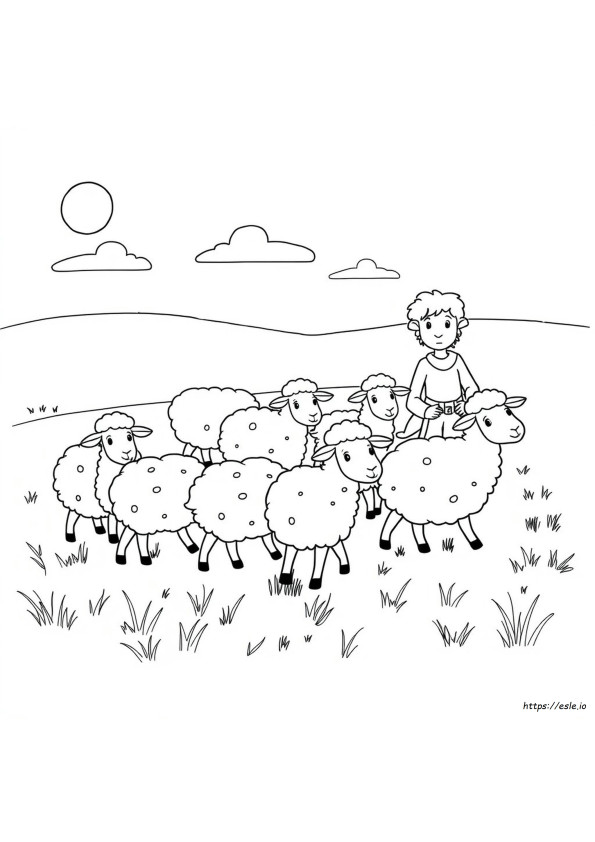 David And The Sheep Coloring Pages