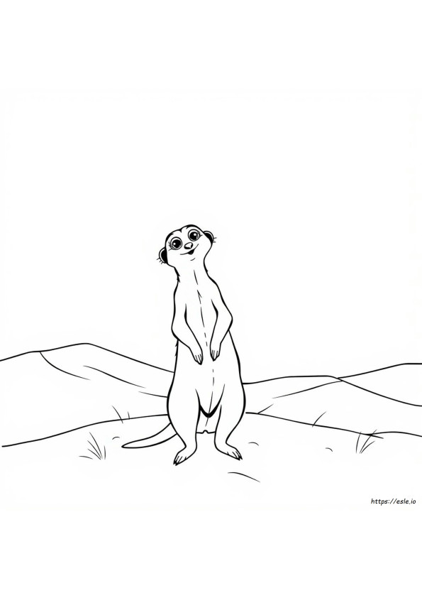 Makaken Ausmalbild