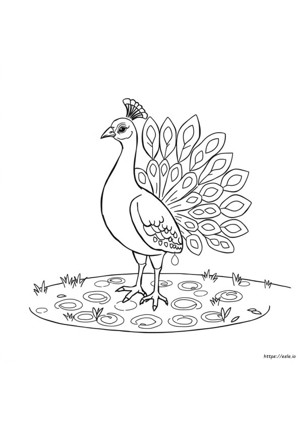 Disegno Di Pavone In Bianco E Nero Per Colorare
