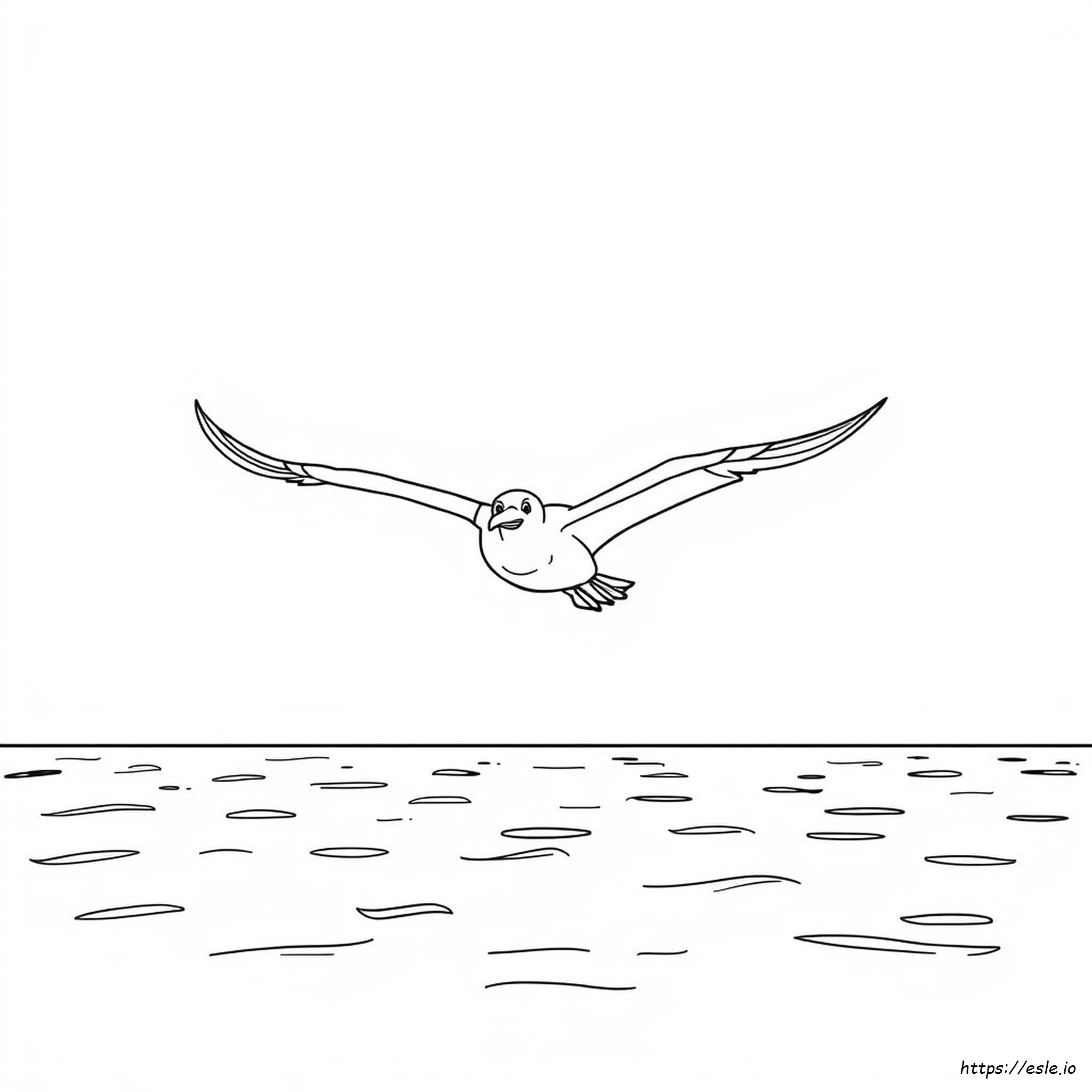 Albatross Coloring Page - Free Printable Bird