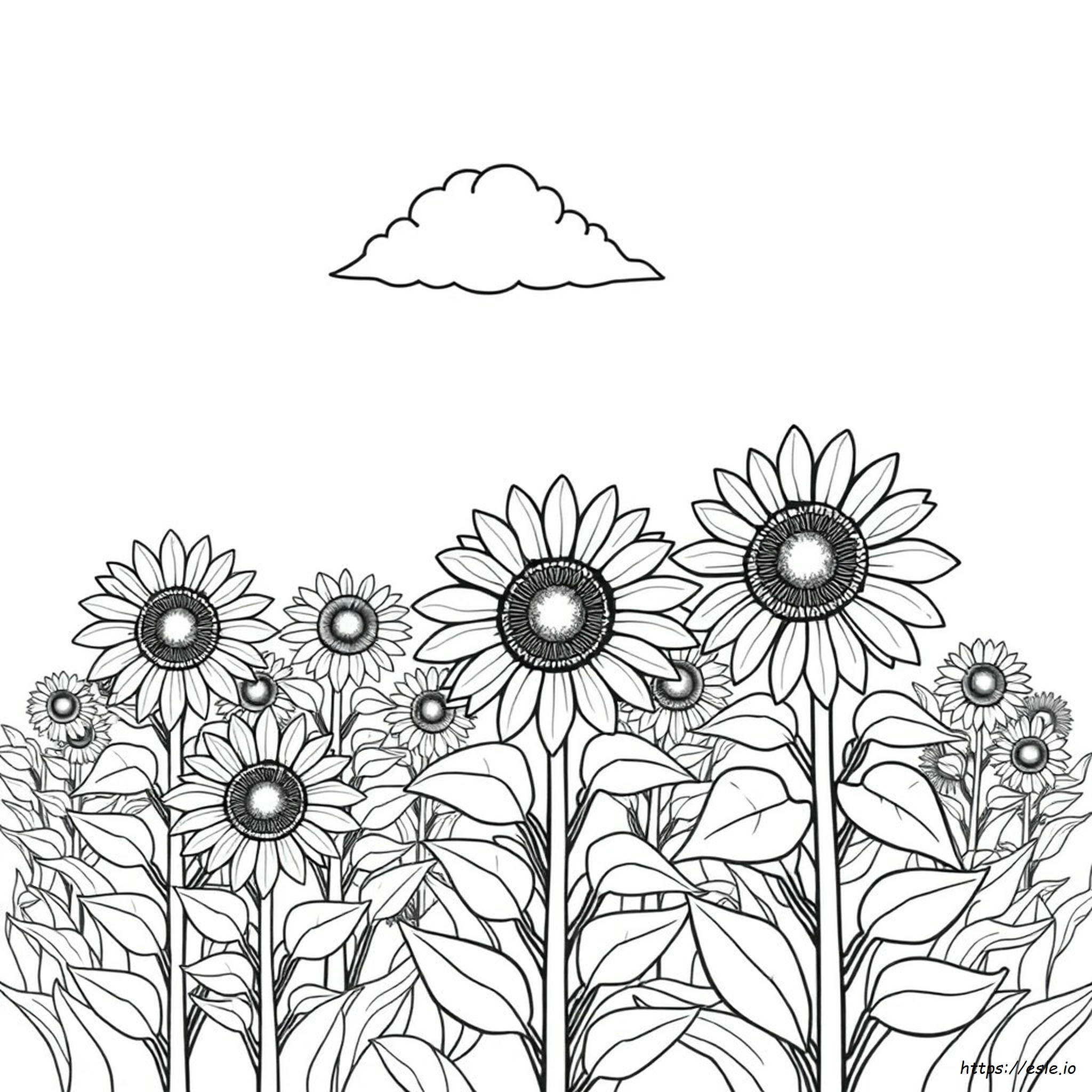 Coloriage Tournesol Gratuit à Imprimer