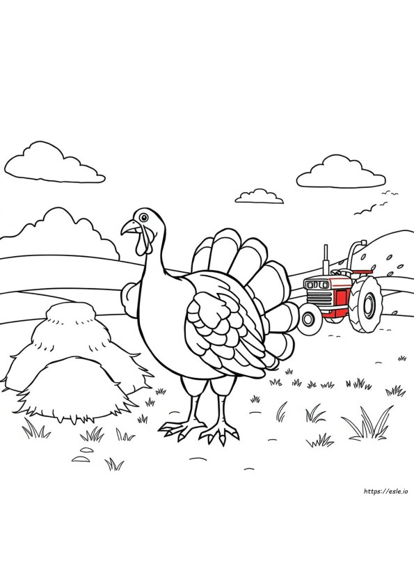 Coloriage Dinde Turque