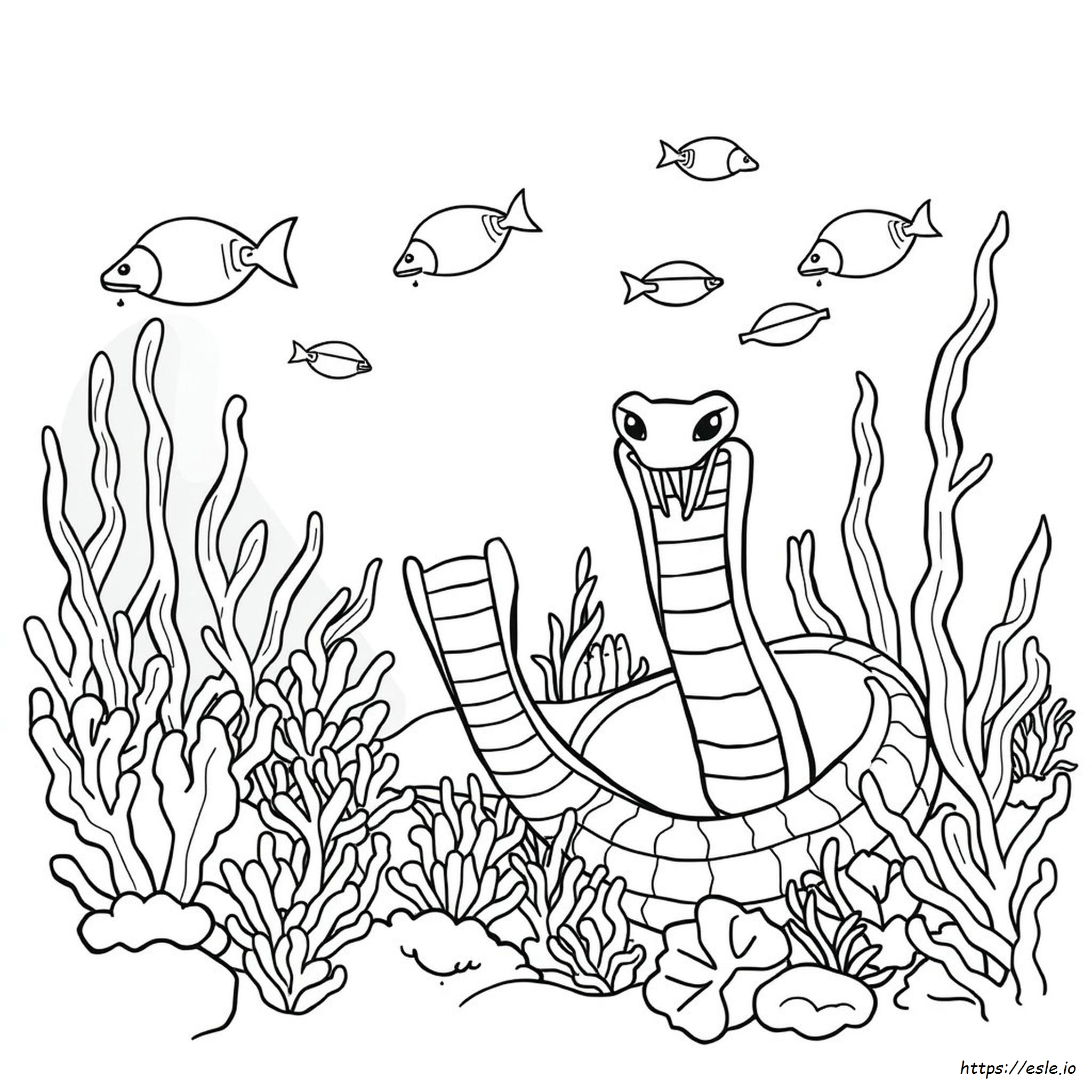 Cobra Kai Colouring In