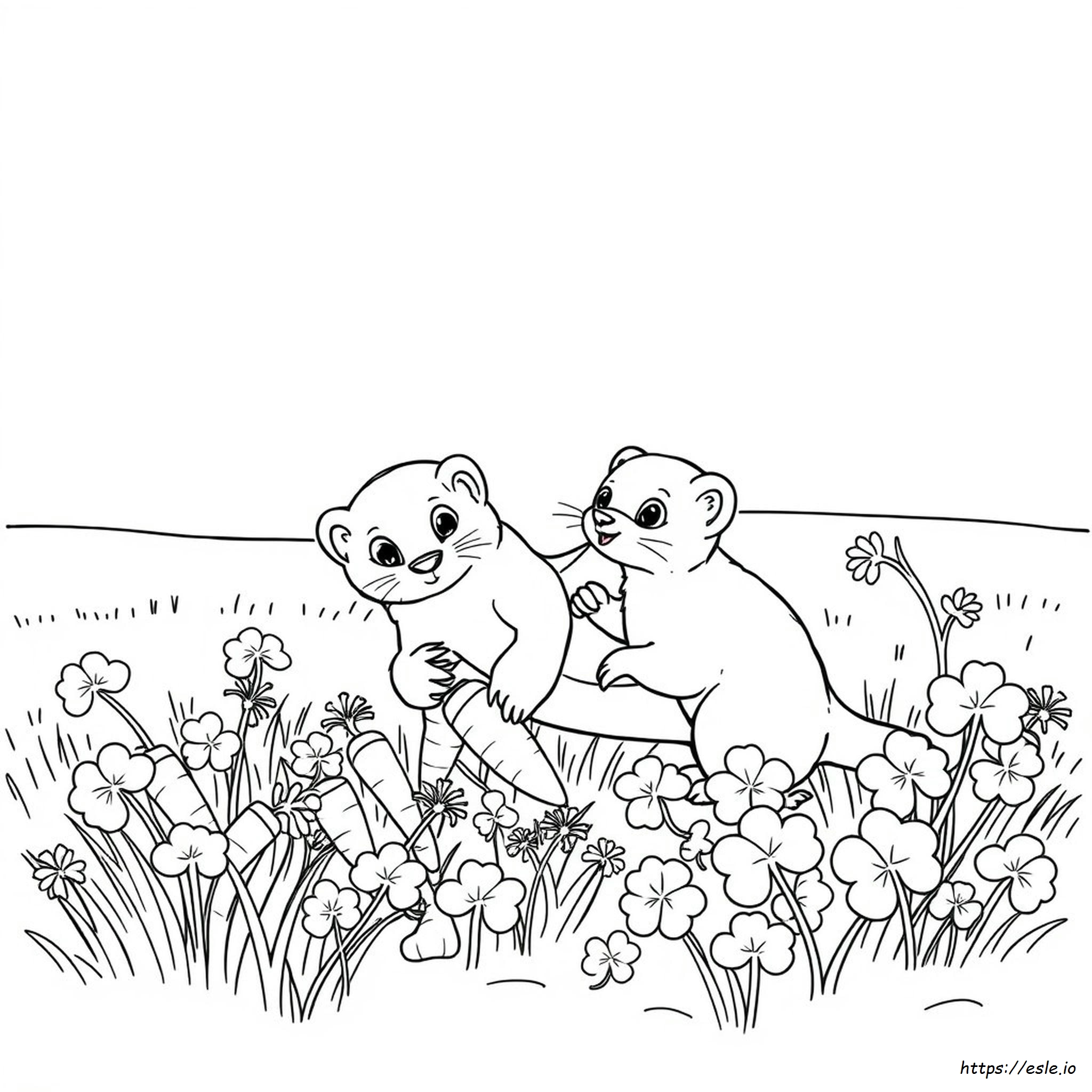 Coloring Pages Of Ferrets - Free Printable