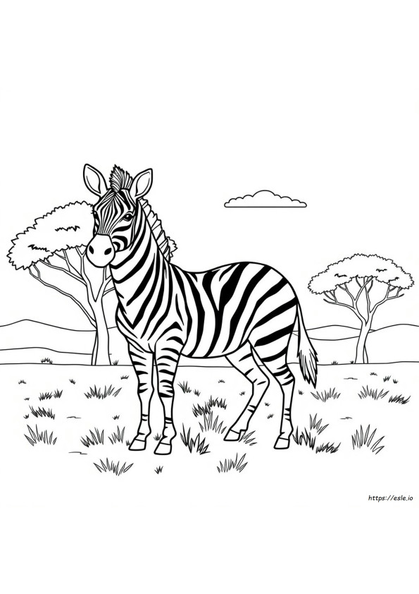 Disegno Da Colorare Di Una Zebra