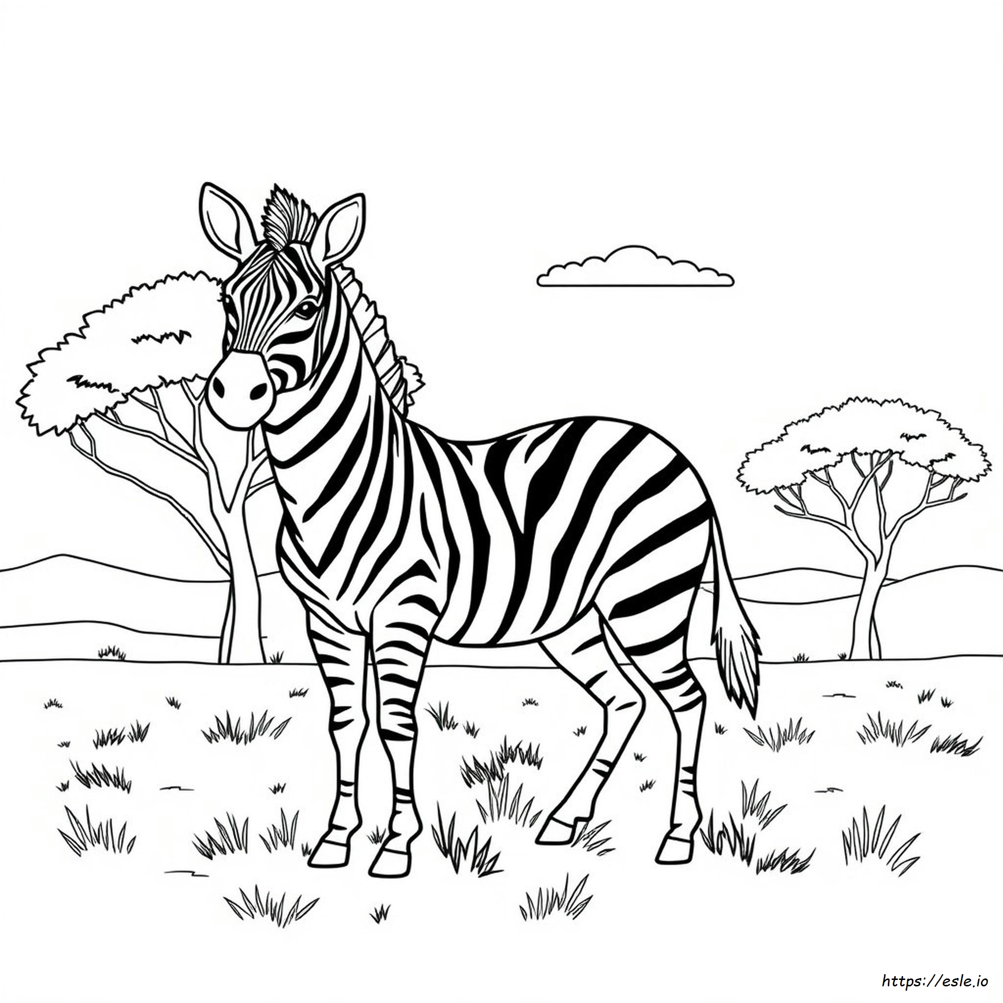 Zebra Coloring Page - Free Printable for Kids and Adults