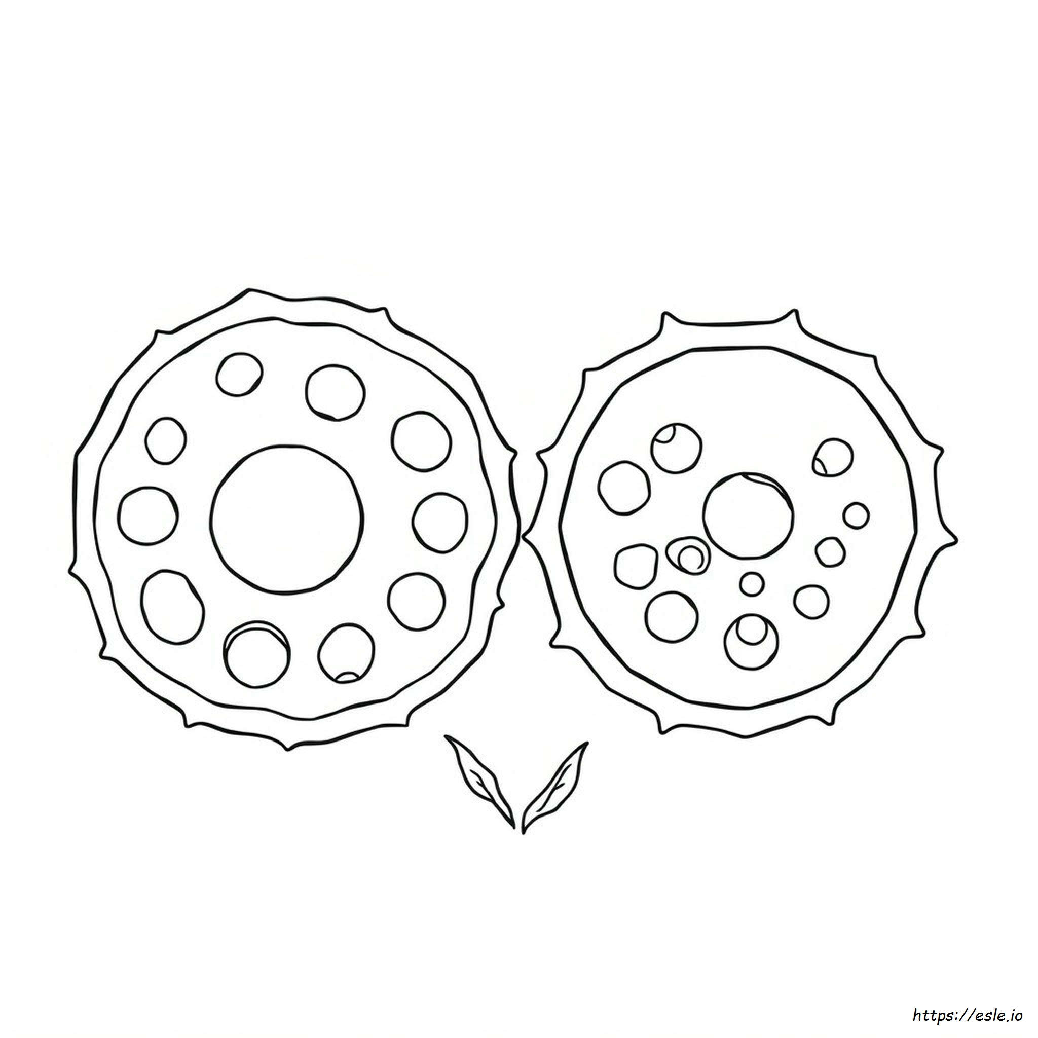 Plant And Animal Cell Coloring Page