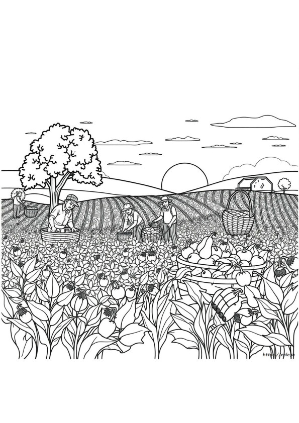 Coloring Pages For Fall Harvest
