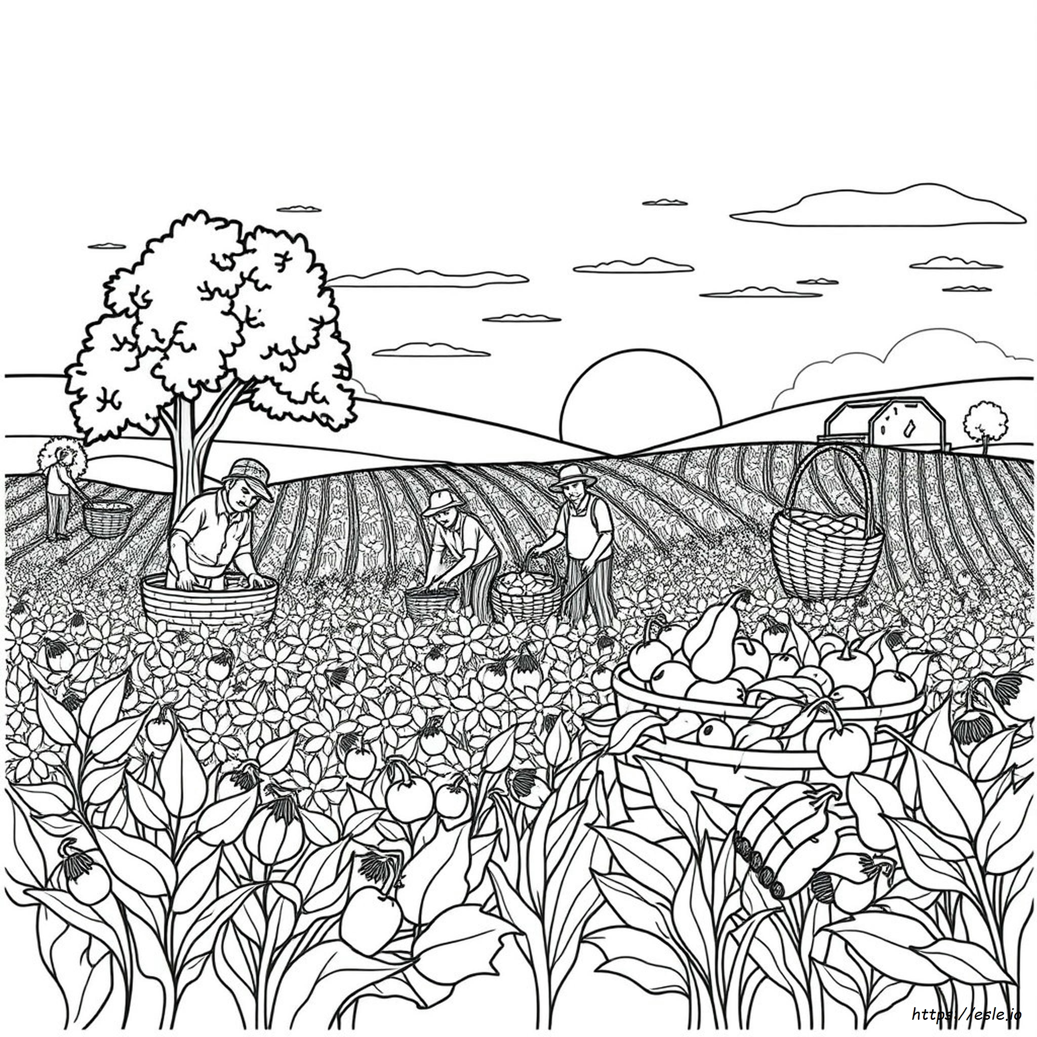 Disegni Da Colorare Per La Vendemmia Autunnale
