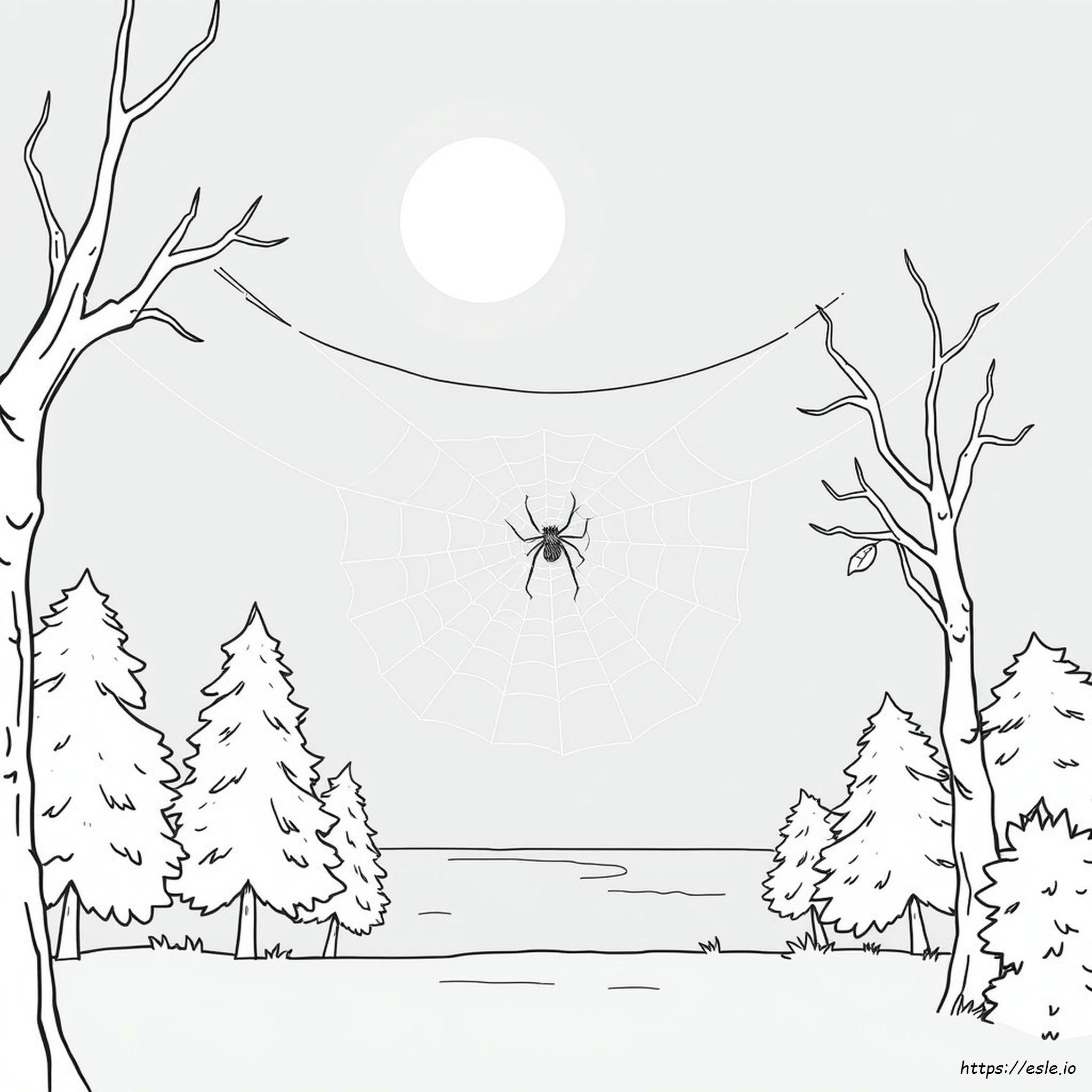 Printable Spider Web Coloring Page - Easy Activity for Kids