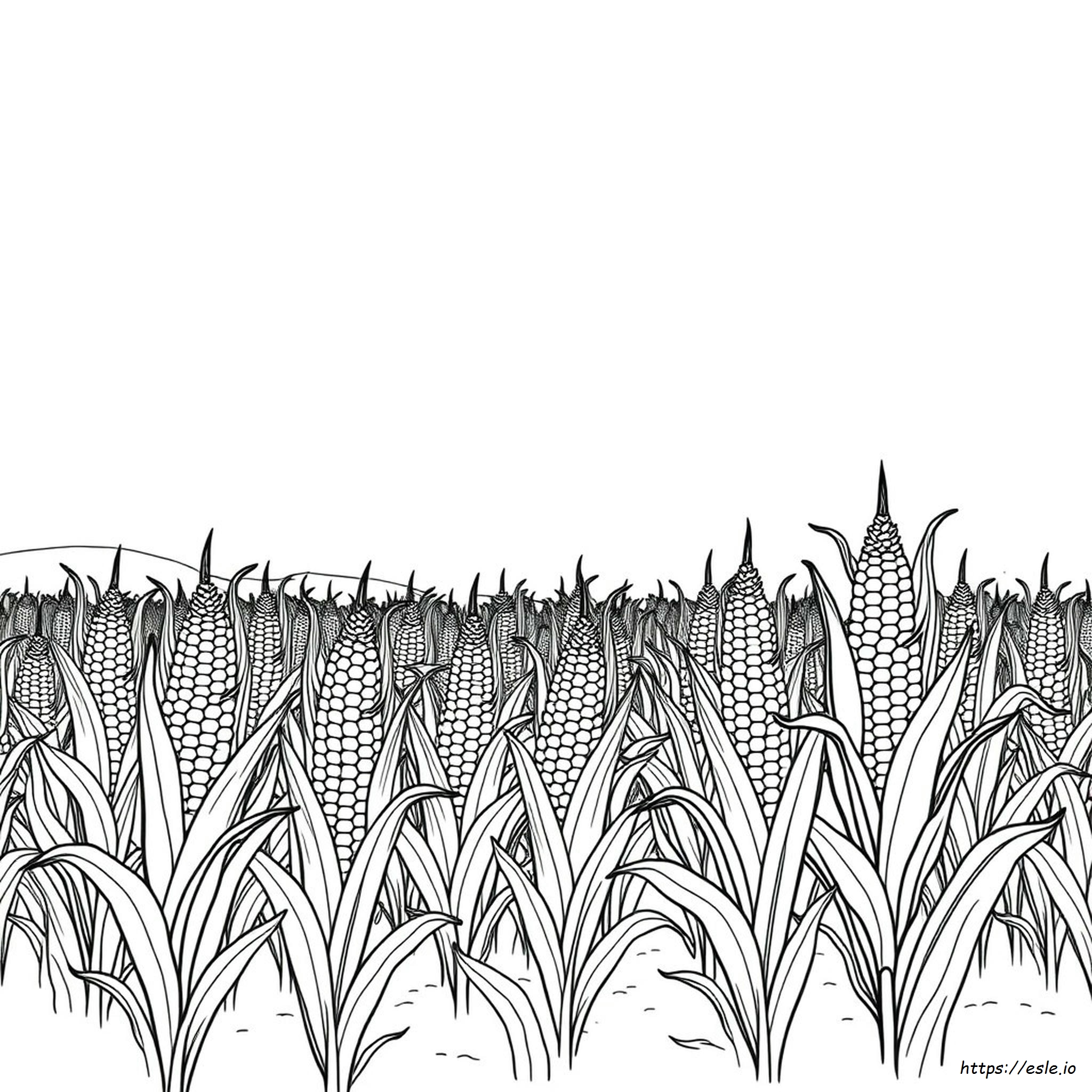 Indian Corn Coloring Page - Free Printable for Kids