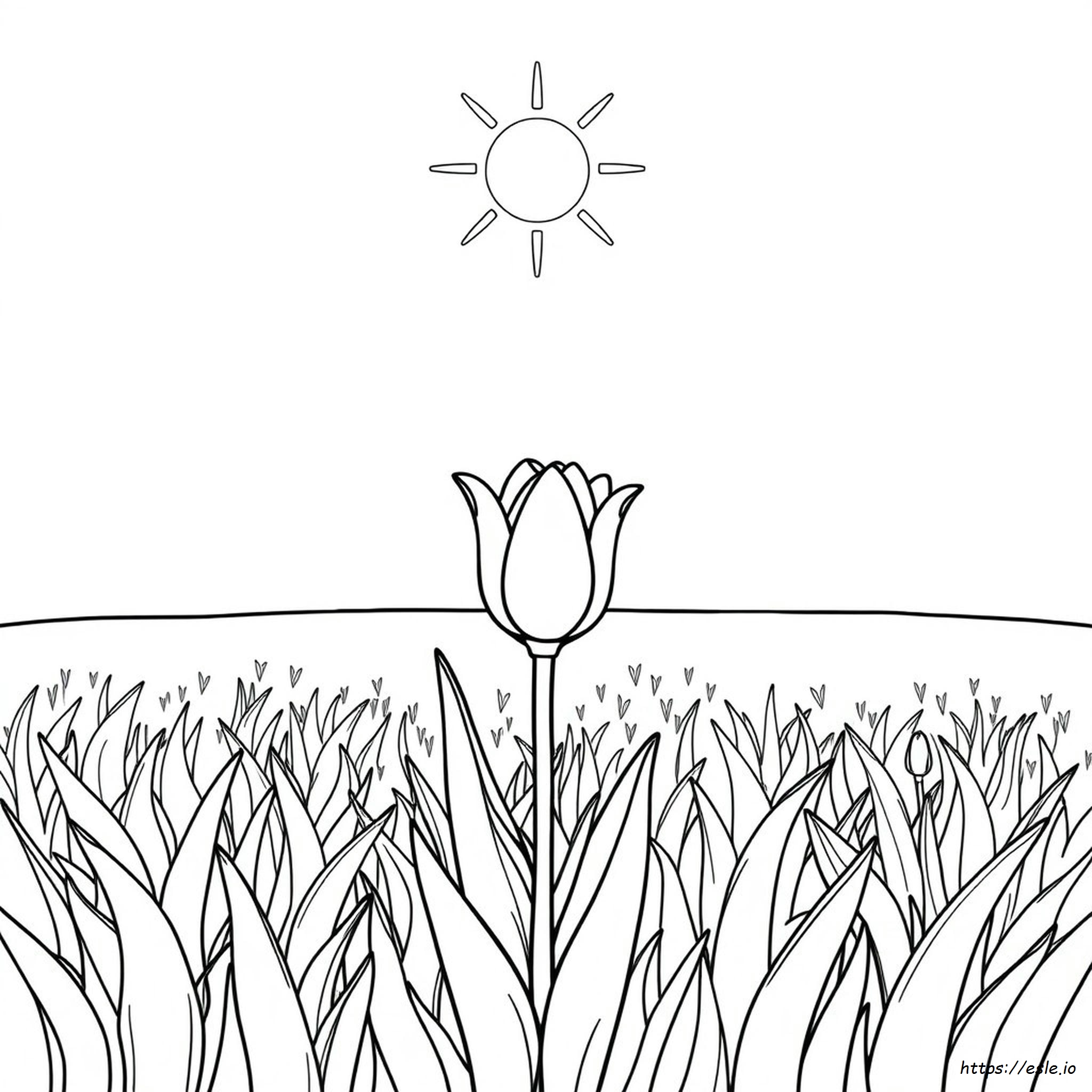 Tulip Flower For Colouring - Coloring Page