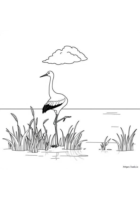 Pagina Da Colorare Grulla Canuta