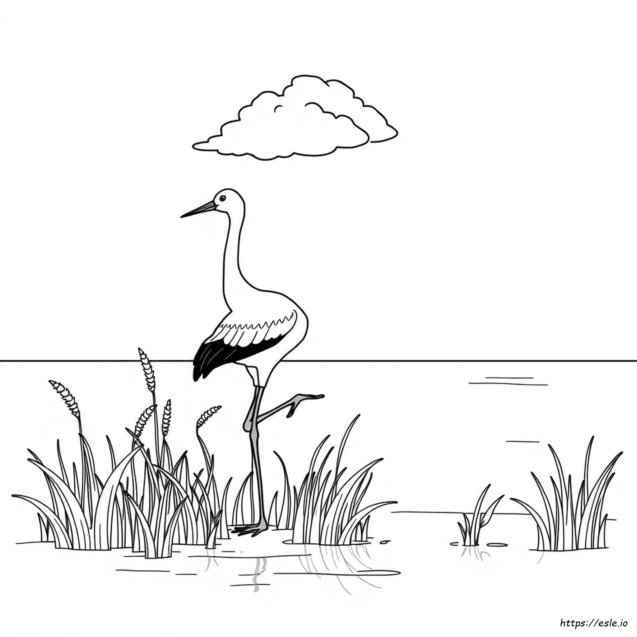 Whooping Crane Coloring Page - Free Printable PDF