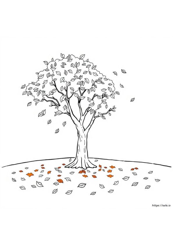 Fall Coloring
