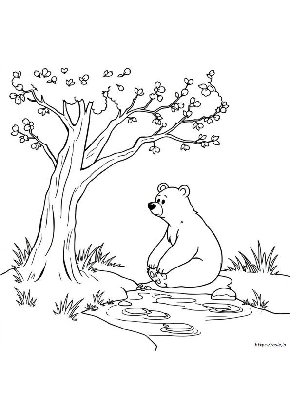 Colouring Page Of Bear