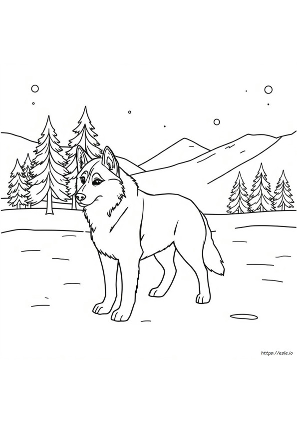 Coloring Pages Of Huskies