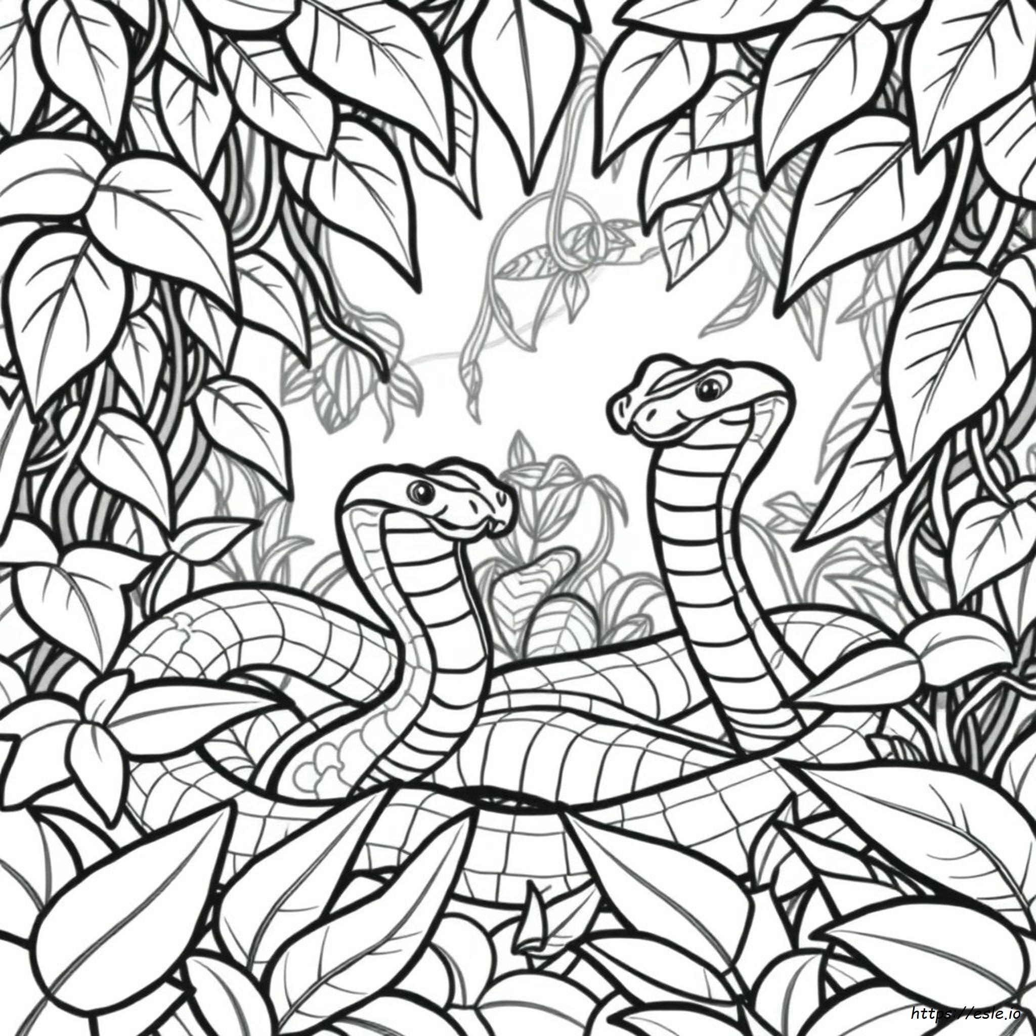 Serpente A Sonagli Da Colorare Gratis Da Stampare