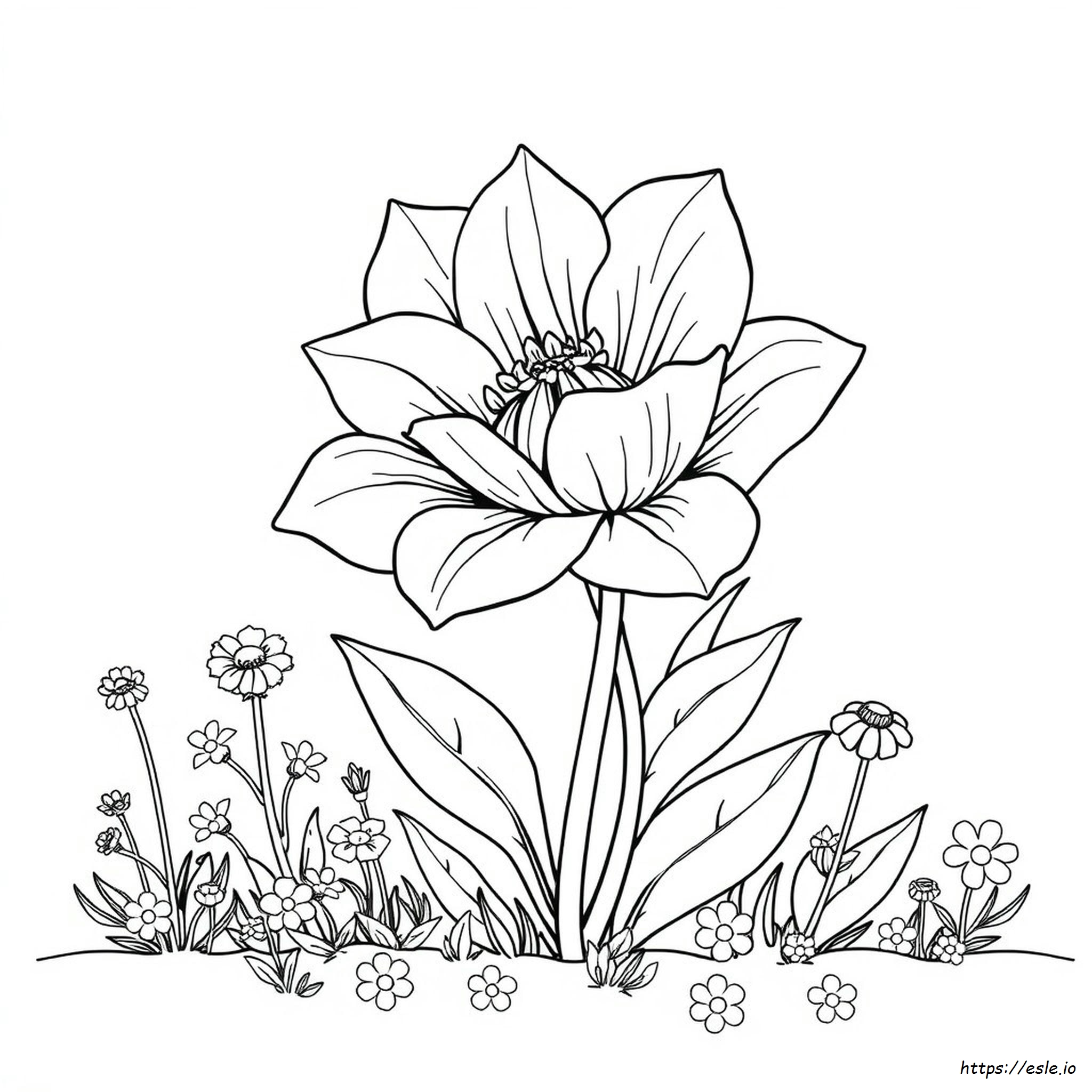 Large Flower Coloring Pages