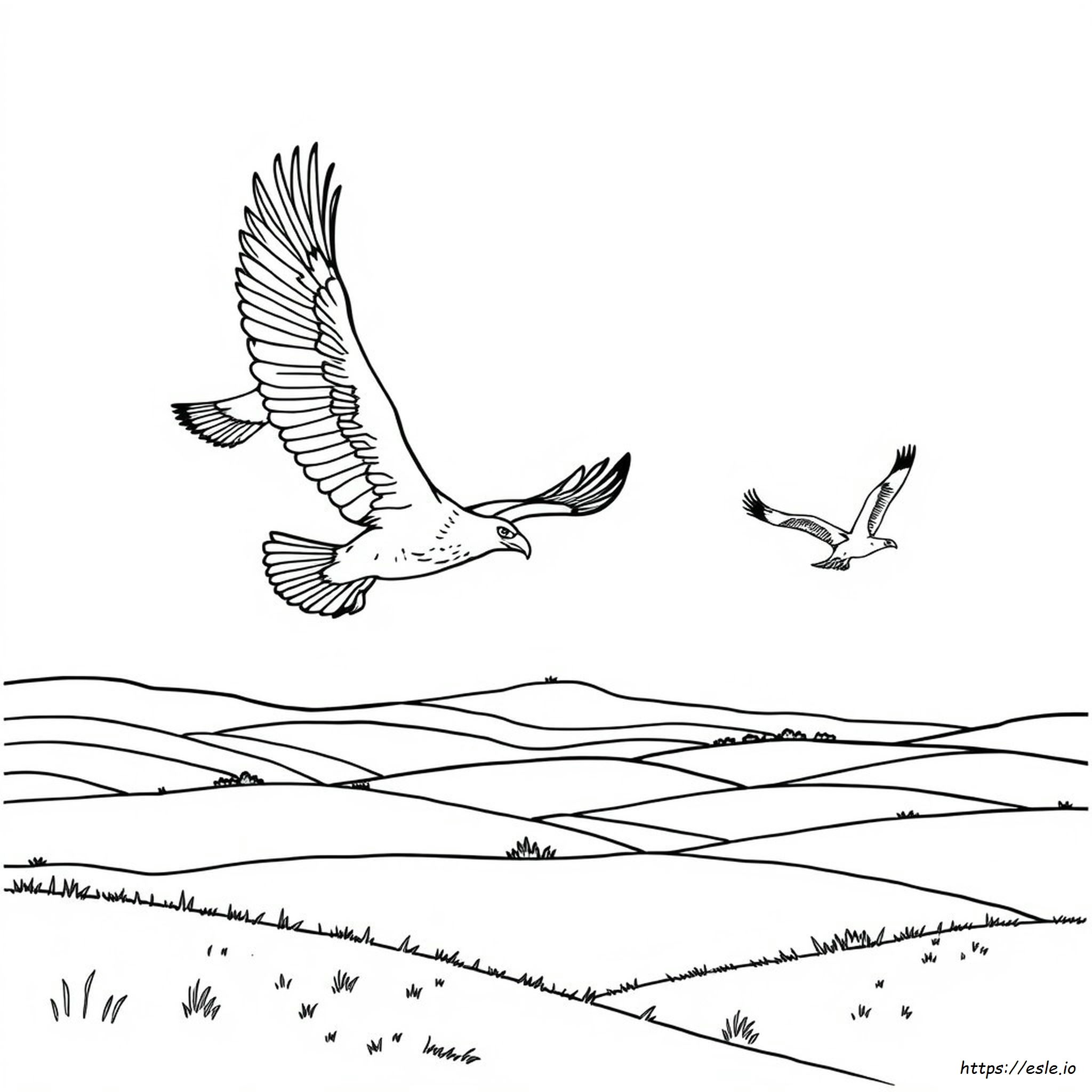 Coloring Pages Of Eagles - Free Printable PDF
