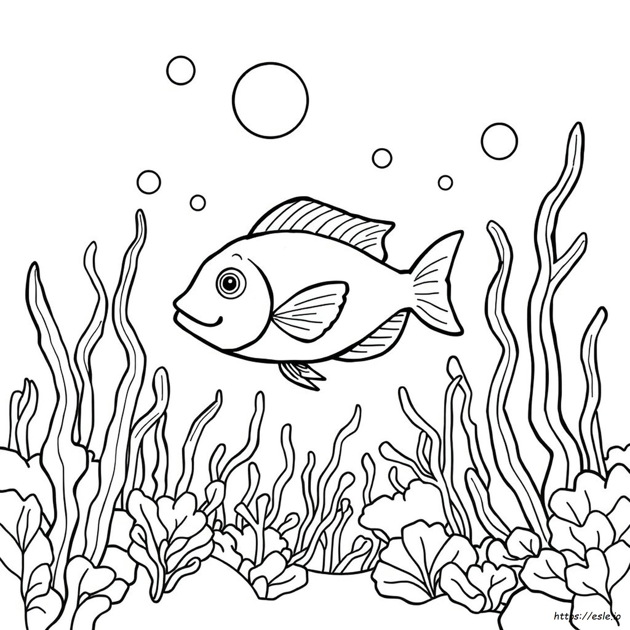 Fish Coloring Pages Preschool