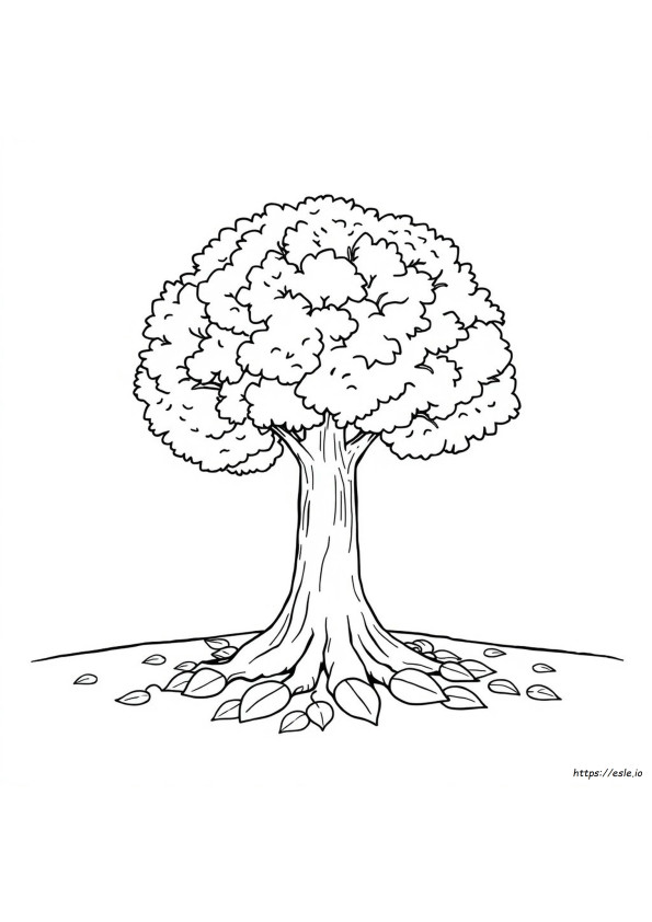 Página Para Colorear Del Árbol Estatal De Georgia