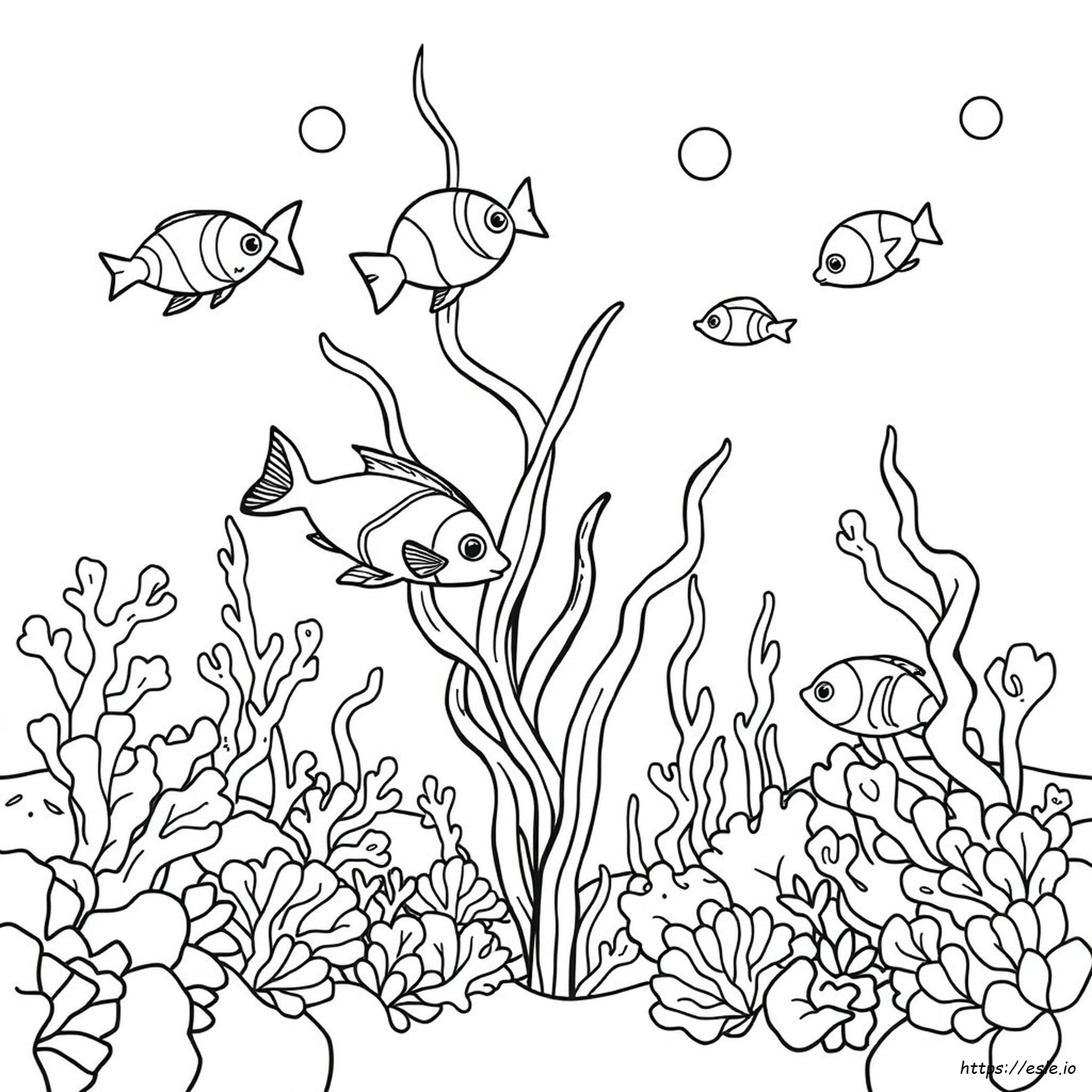 Pagina Da Colorare Alga Marina Da Stampare Gratis