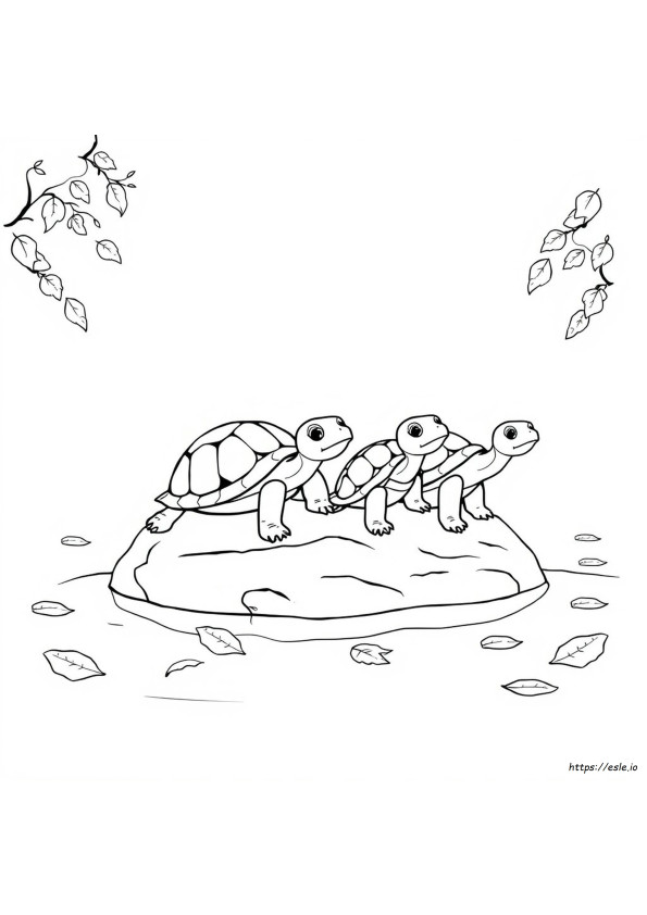Disegni Da Colorare Per Bambini Della Scuola Materna - Tartarughe